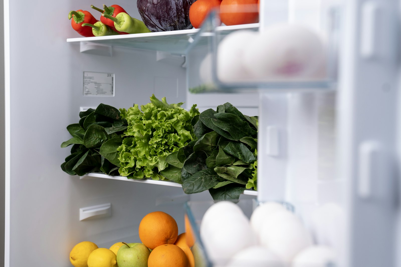 Clean refrigerator shelves stocked with fresh fruit and vegetables